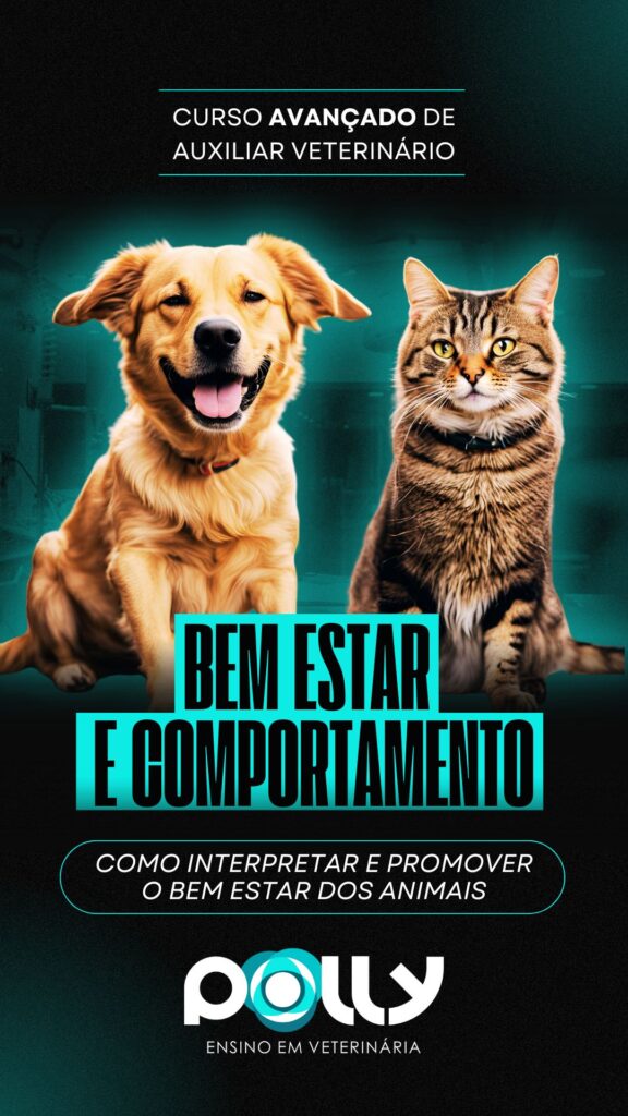 BEM ESTAR E COMPORTAMENTO