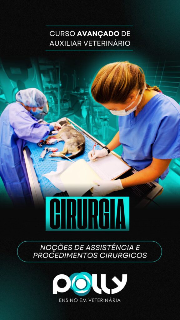 CIRURGIA