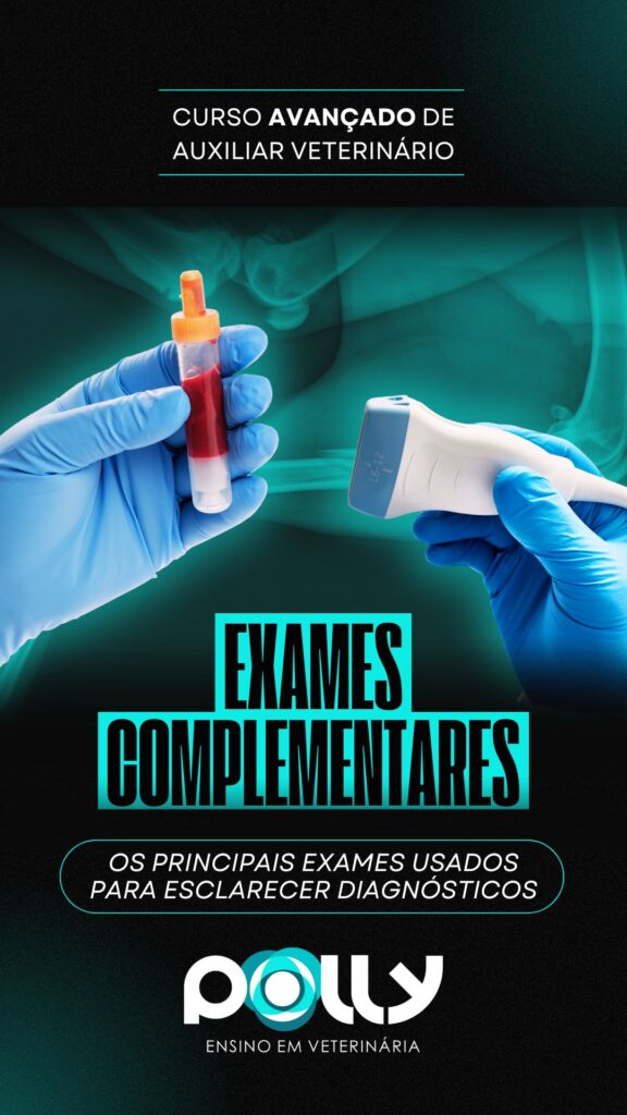 EXAMES COMPLEMENTARES