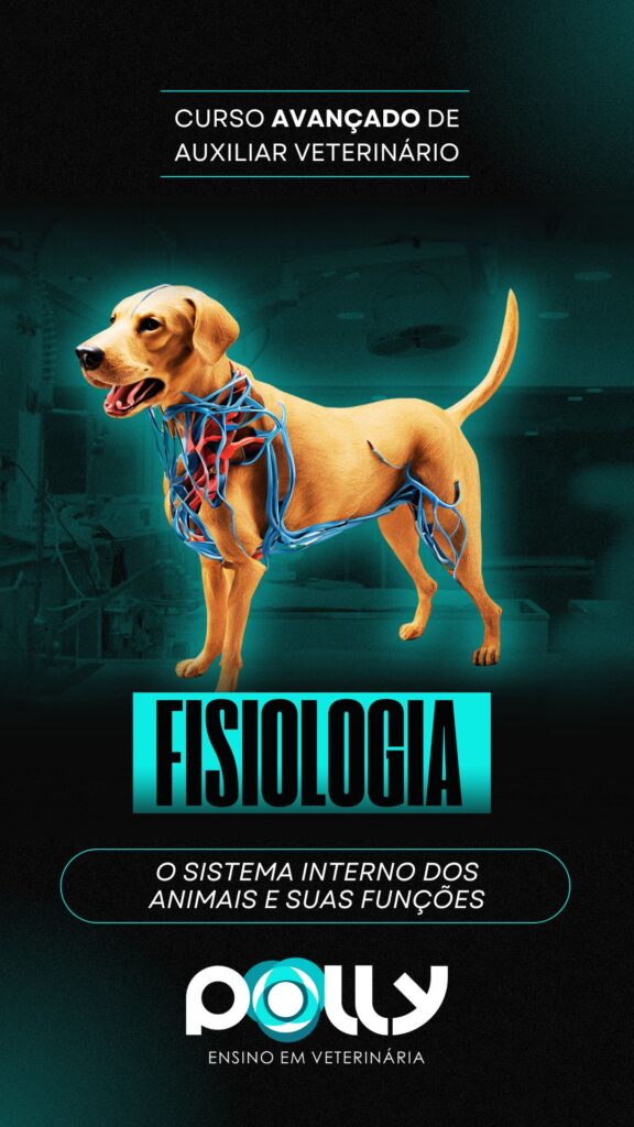 FISIOLOGIA